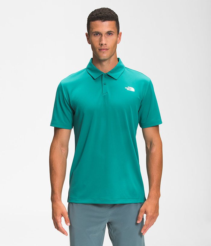 Camiseta The North Face Hombre Wander Polo Verde - Peru 32761RJLH